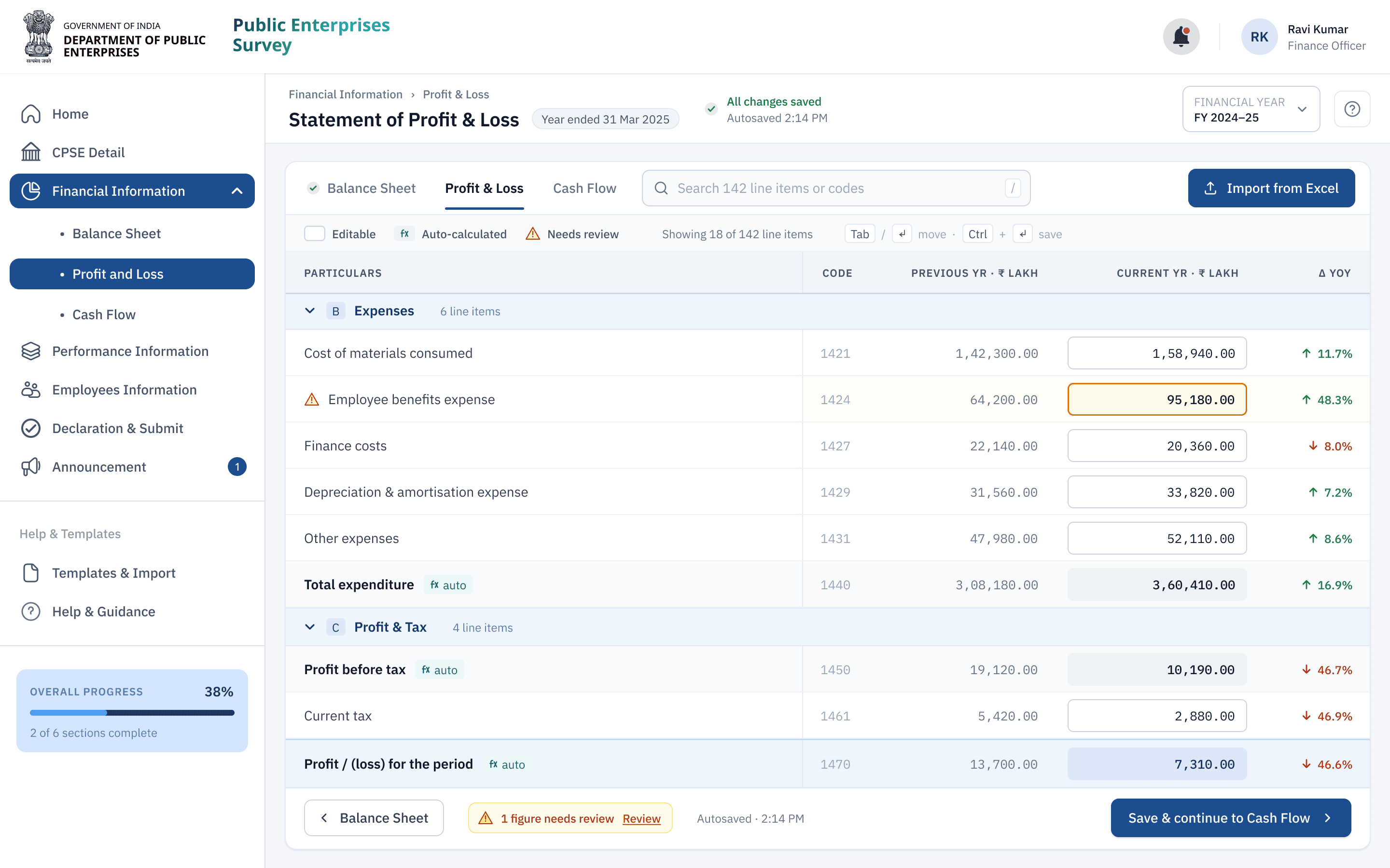 Data-entry sheet — Statement of Profit & Loss, one figure flagged for review
